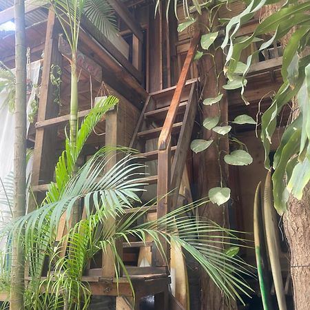 La Punta Surf House -Tree House Starlink Apartment ปูแอร์โตเอสกอนดิโด ภายนอก รูปภาพ