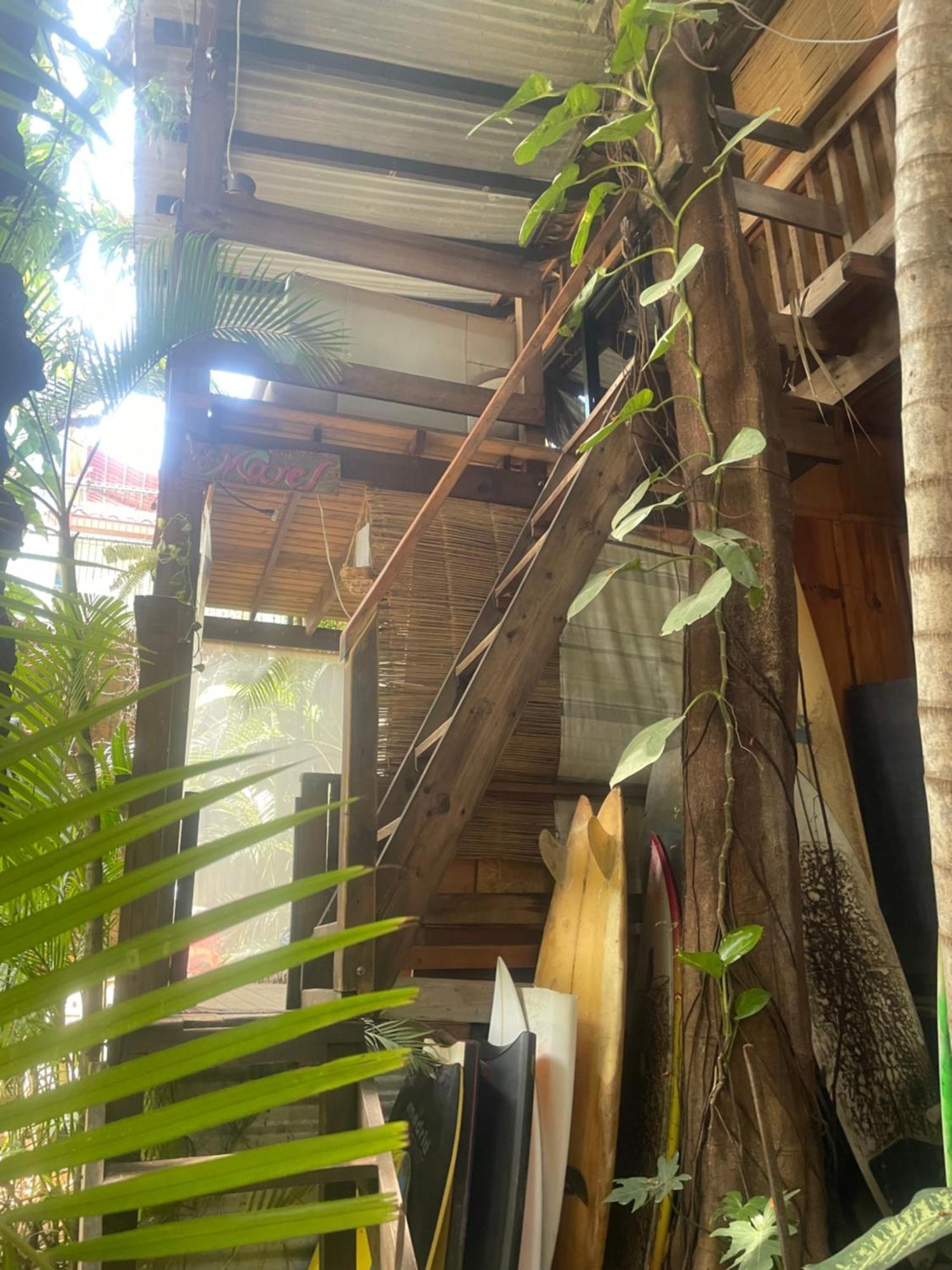 La Punta Surf House -Tree House Starlink Apartment ปูแอร์โตเอสกอนดิโด ภายนอก รูปภาพ