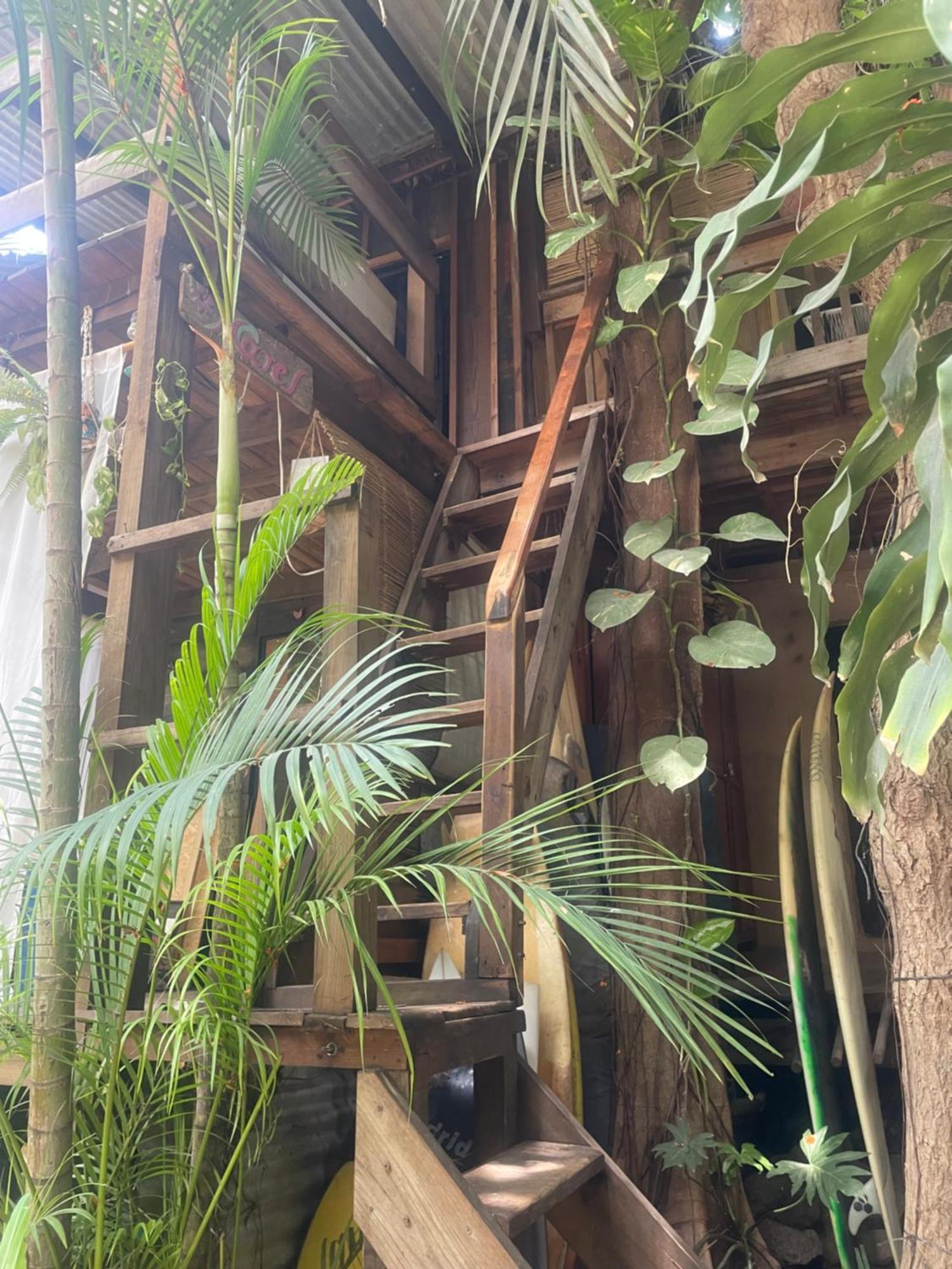 La Punta Surf House -Tree House Starlink Apartment ปูแอร์โตเอสกอนดิโด ภายนอก รูปภาพ